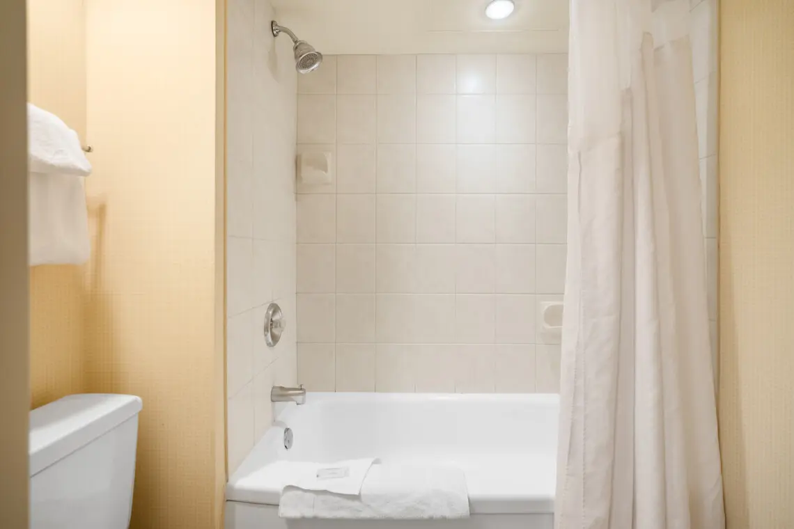 07cf2e9d 4395 4965 ac9e 80aa9a3acf60