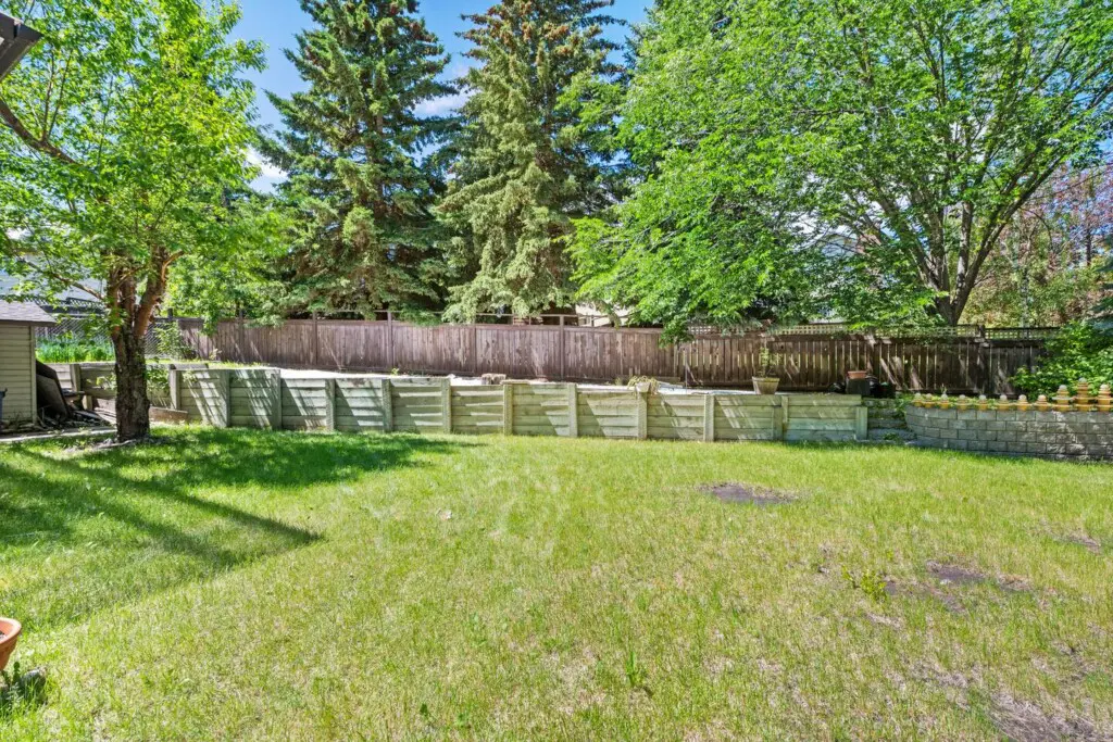 07ff0d04 d336 47fa 9638 810cd606fa48