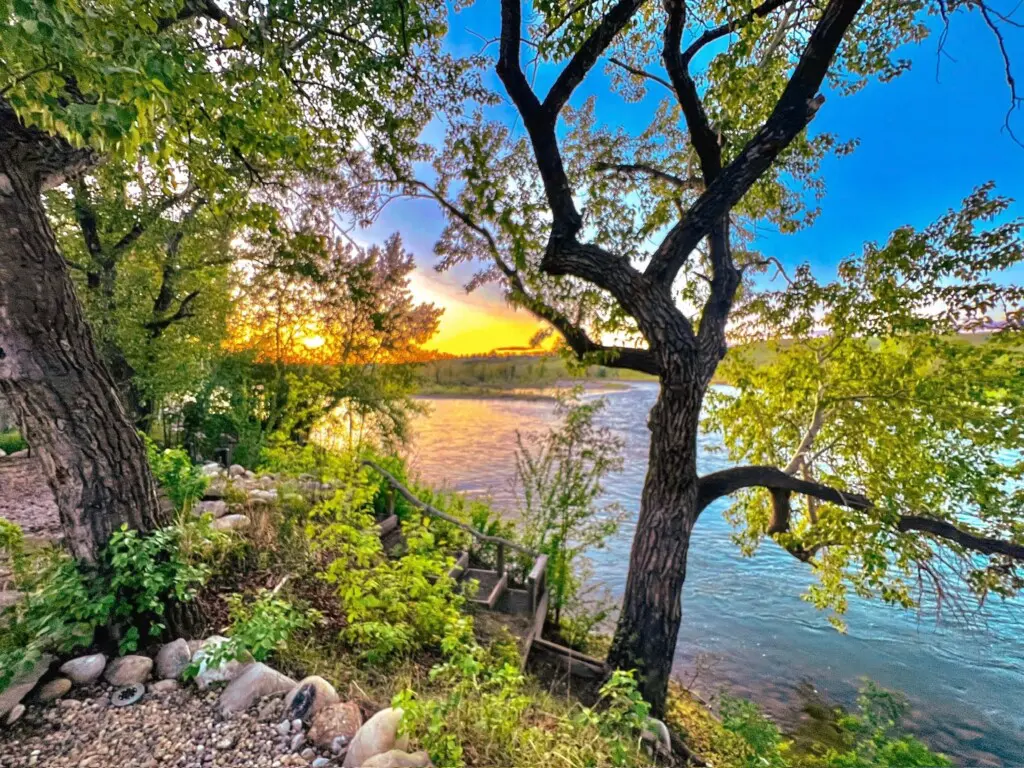 37a16cf6 578a 40b8 893c ade29f02eaca