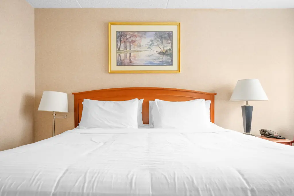 92e64bd2 85f0 42b8 a042 c240eb525ba0