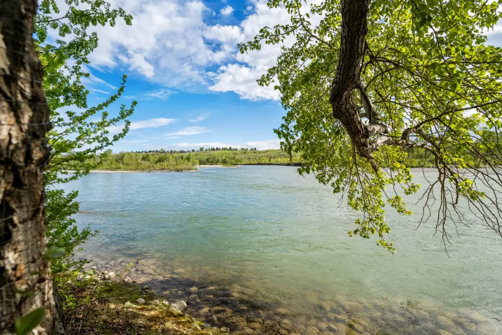 9e5de77b 63ae 4be4 8fe4 41cf0dd513be