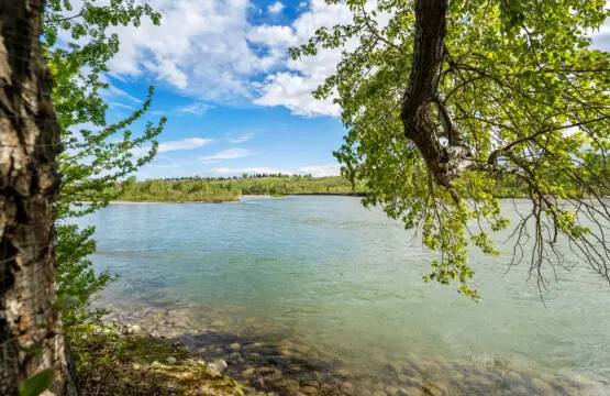 9e5de77b 63ae 4be4 8fe4 41cf0dd513be