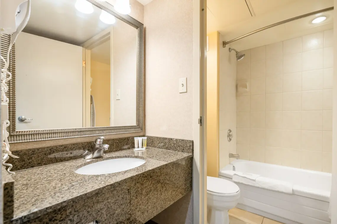 b06f3659 da43 45c2 b56c d0eb8b2d2009