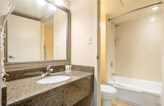 b06f3659 da43 45c2 b56c d0eb8b2d2009