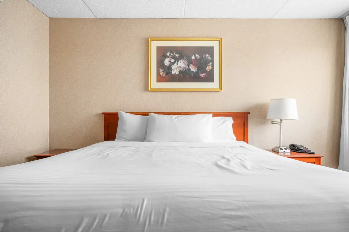 efced0e0 b467 4cec 8ba3 897c3fc782d1