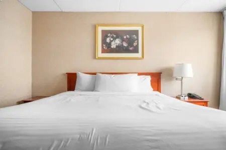 efced0e0 b467 4cec 8ba3 897c3fc782d1