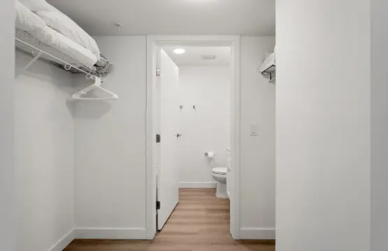 f5431dc8 e03c 473c abd5 53691c2b792d