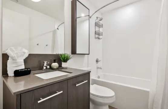 0fb91041 4251 454d aecc 838ed33ab48c