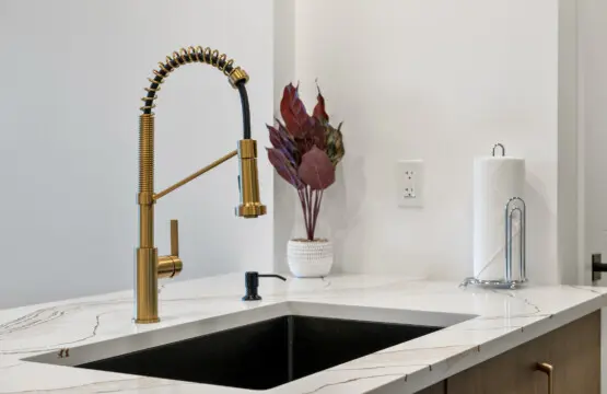 15e020e5 65d0 4887 83d2 1d8cd8842857