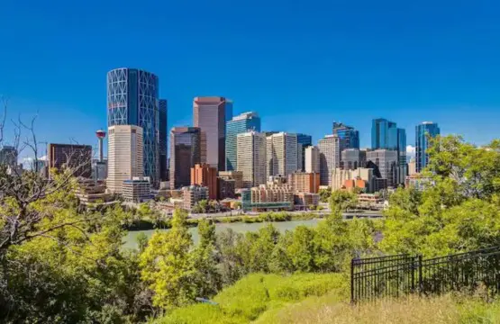 229d92aa 308b 4c35 8567 de4ec38ddf1f