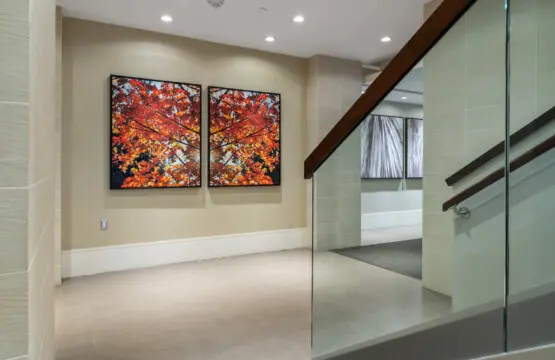 3cdb002b 7702 4389 a7d2 29f6ad83752f