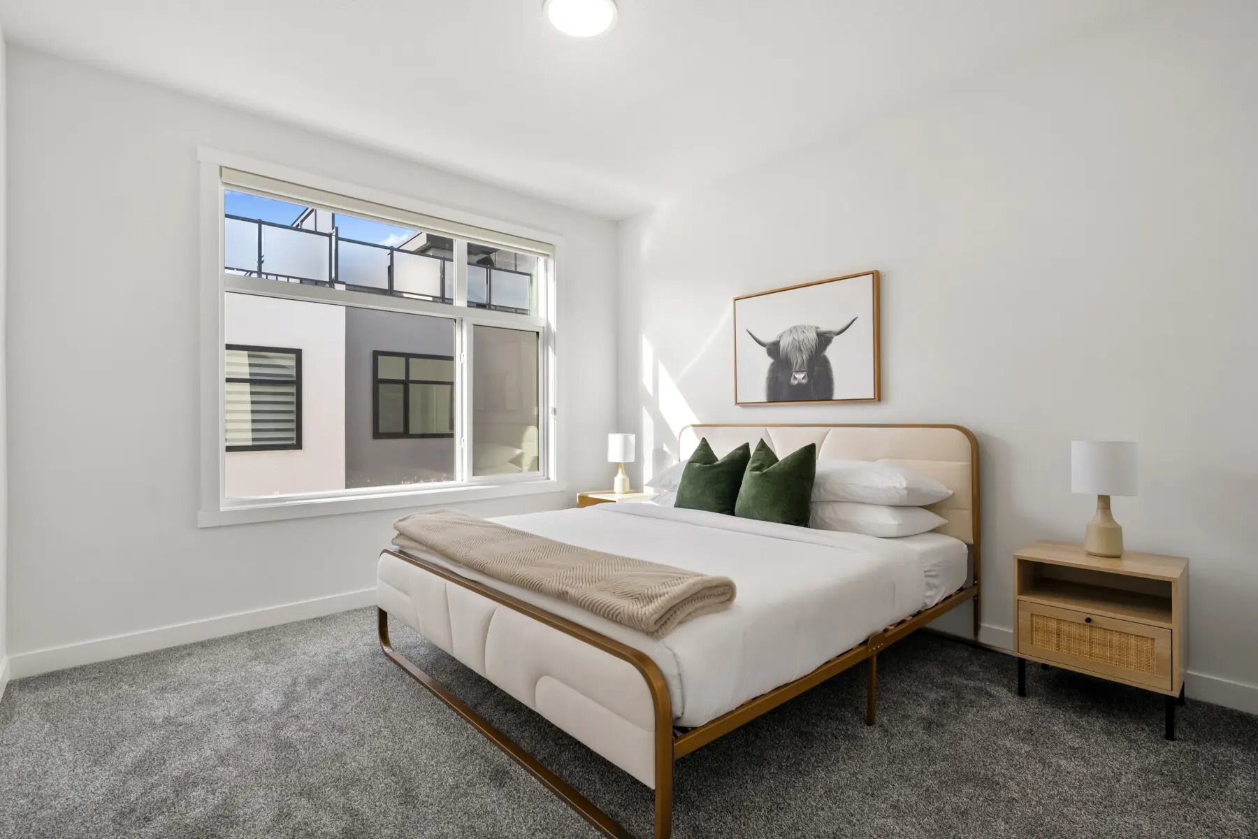 556e854e 4c9f 428f 9836 4e935b679b17