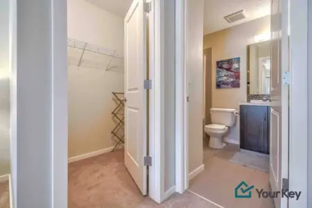 6c355556 c8e7 4dbb 919c d2d18aef40f6