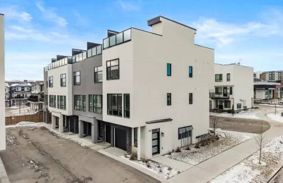 77abdb4e 572c 49d7 8491 2e58e72af63d