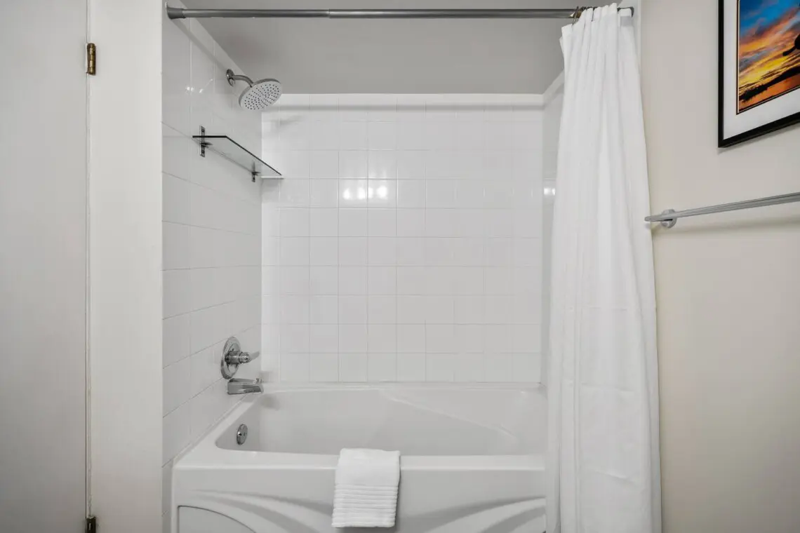 8b77ce88 0947 41d8 89f7 68bb2dd05e91