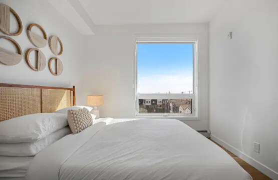 8cd8d7dc c16f 408c b585 4aded9b5631e