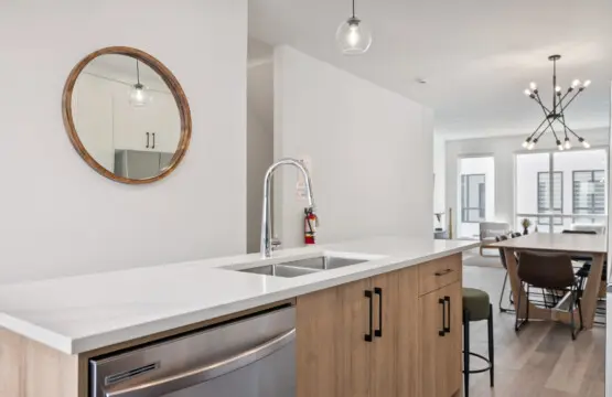 969624c3 1217 49b5 b8db a60d49248de1