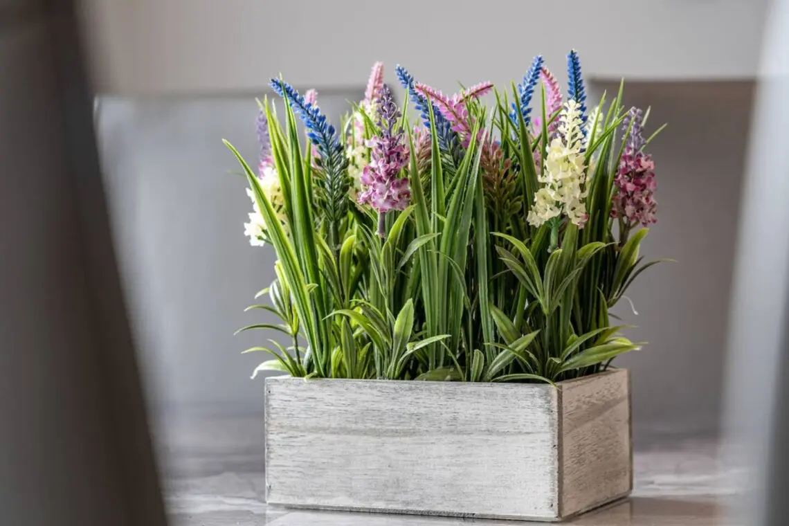 a61dc8b5 a904 4c9f afae 8fe5a92e1e3c