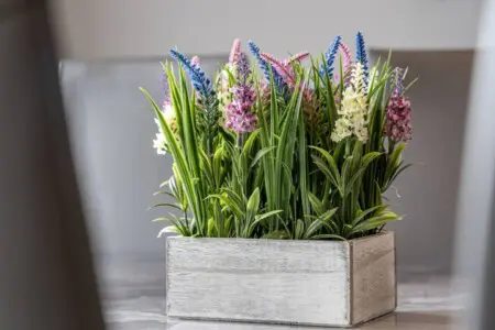 a61dc8b5 a904 4c9f afae 8fe5a92e1e3c