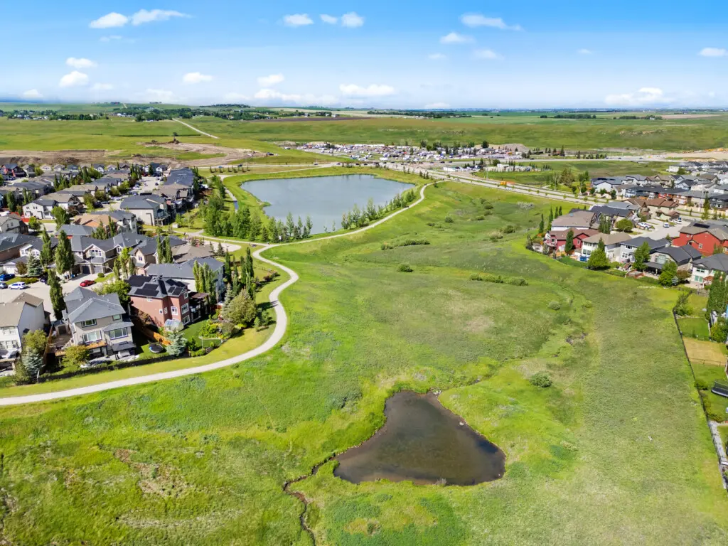 aa467159 3453 4dc0 ae56 39401633e672