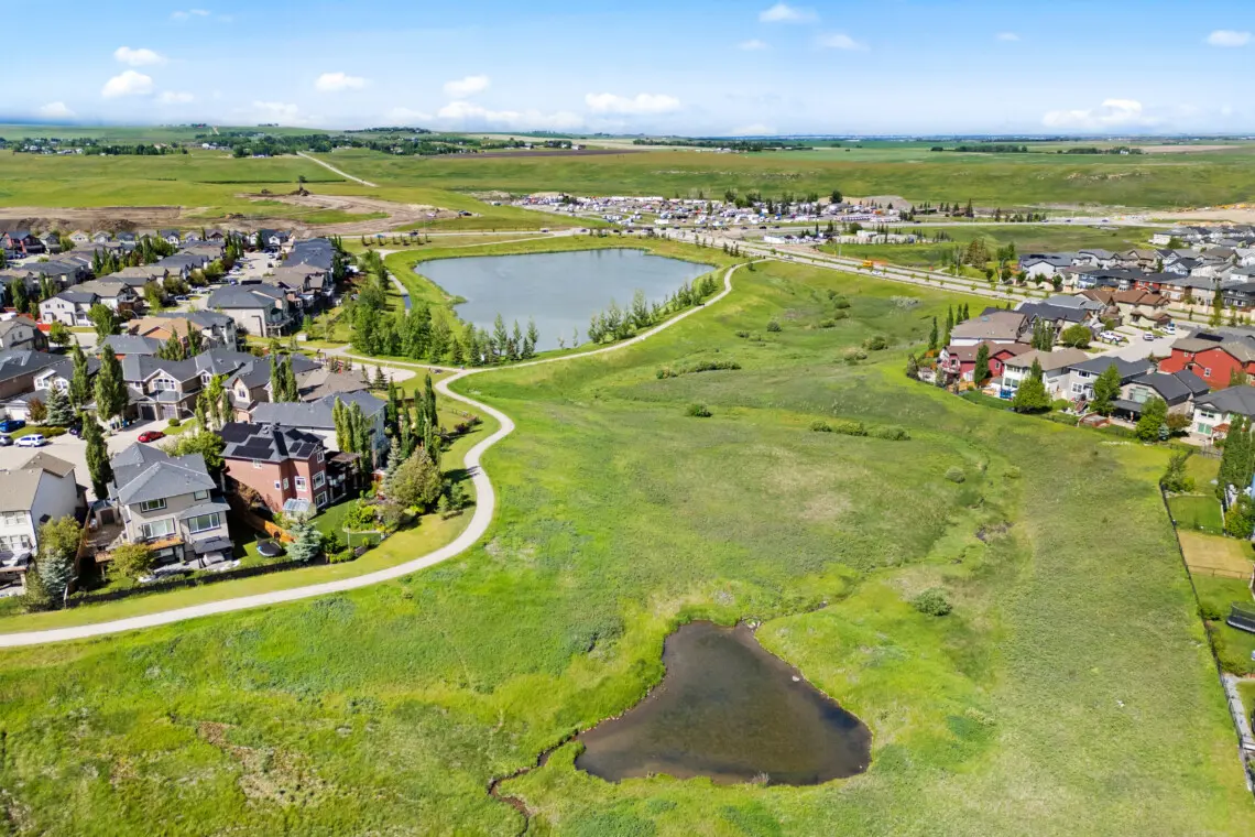 aa467159 3453 4dc0 ae56 39401633e672