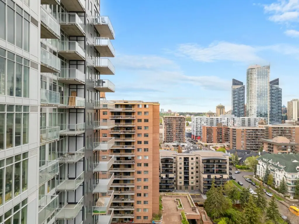 cc5a91df 2e85 4d0b ac66 70d91a927aa6