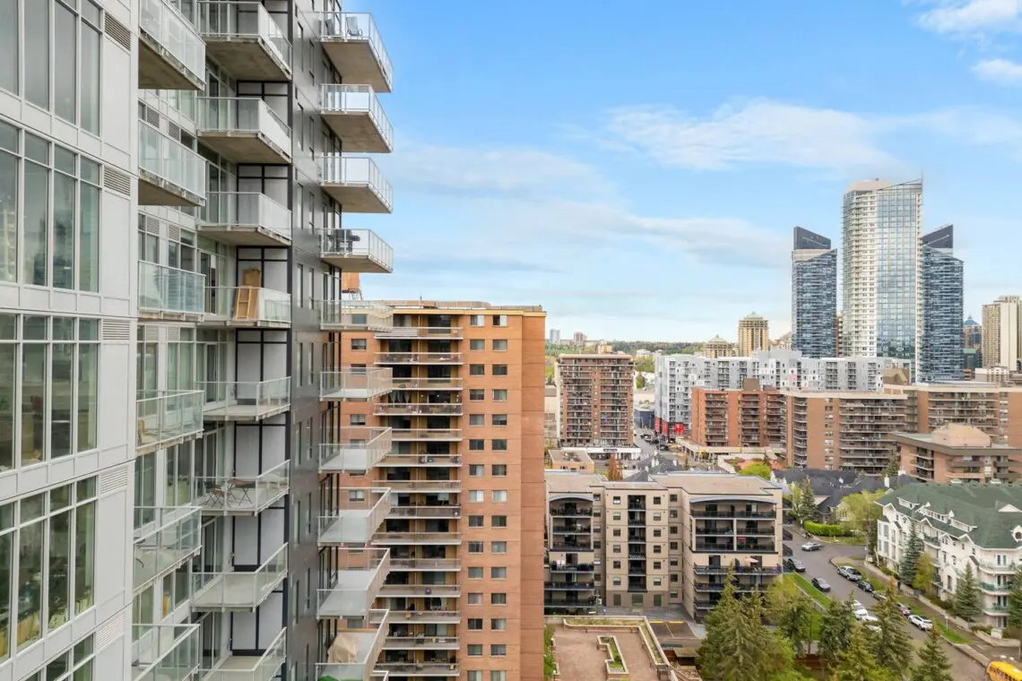 cc5a91df 2e85 4d0b ac66 70d91a927aa6