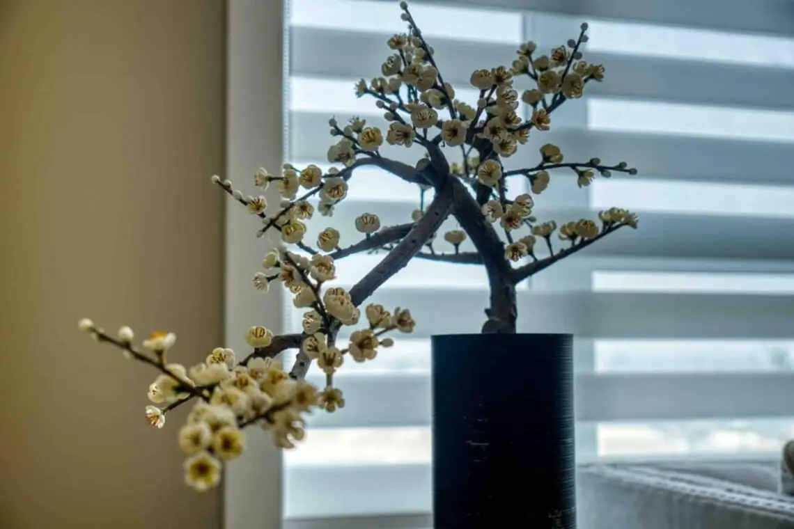 e7644fcb 978e 4e73 92ea 6312cd42cef1