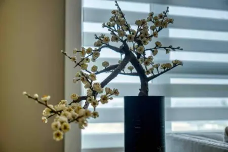 e7644fcb 978e 4e73 92ea 6312cd42cef1