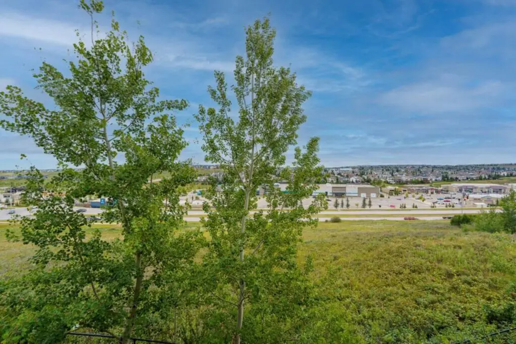 9221a562 e3f9 45a5 8726 c2e0b3876eed