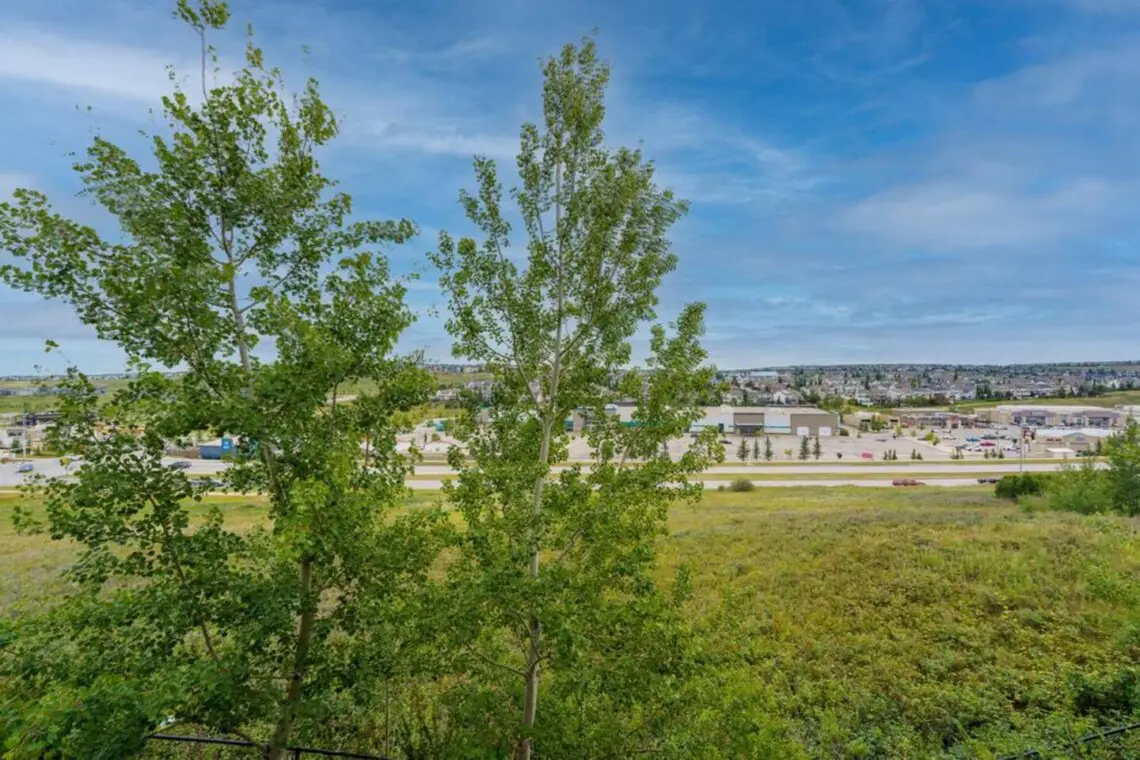 9221a562 e3f9 45a5 8726 c2e0b3876eed